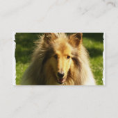 Collie-Visitenkarte Visitenkarte (Rückseite)