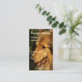 Collie-Visitenkarte Visitenkarte (Stehend Vorderseite)