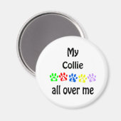 Collie Walks Design Magnet (Vorderseite/Rückseite)