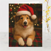 Collie-Weihnachtskarte Karte (Gelbe Blume)