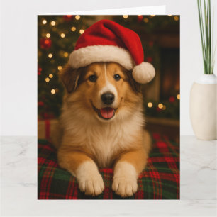 Collie-Weihnachtskarte Karte