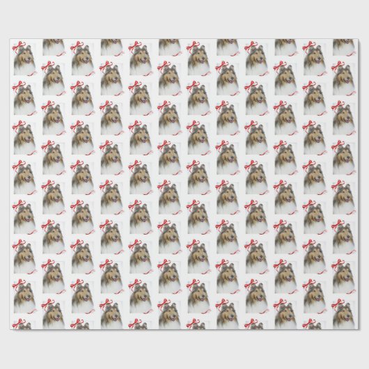 Collie-WeihnachtsPackpapier Geschenkpapier (Flach)