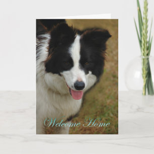 Collie Welcome Zuhause. Schön, dass du wieder Zuha Karte