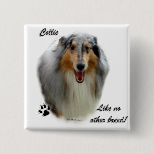 Collie wie kein anderer Zucht Button