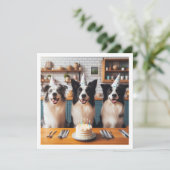 Colliese an der Grenze, Geburtskarte des Hundes, H Einladung (Stehend Vorderseite)