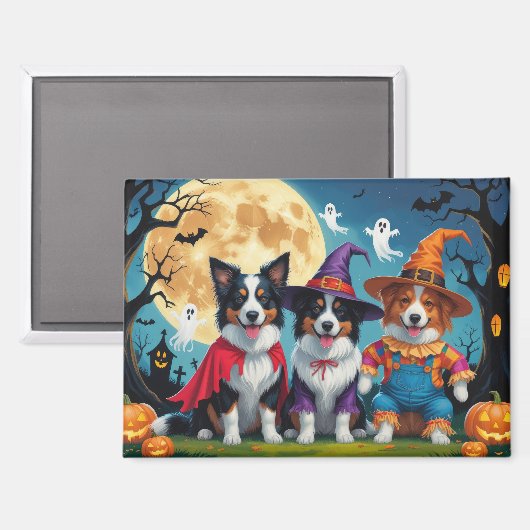 Colliese an der Grenze Hunde Pumpkin Halloween Fun Magnet (Vorderseite/Rückseite)
