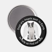 Colliese an der Grenze sind Engel Magnet (Vorderseite/Rückseite)