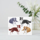 Colliese Postkarte (Stehend Vorderseite)