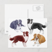 Colliese Postkarte (Vorne/Hinten)