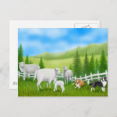 Colliese und Schaf-Postkarte Postkarte (Vorne/Hinten)
