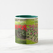 Colliese und Tulips Tasse (Zentrum)
