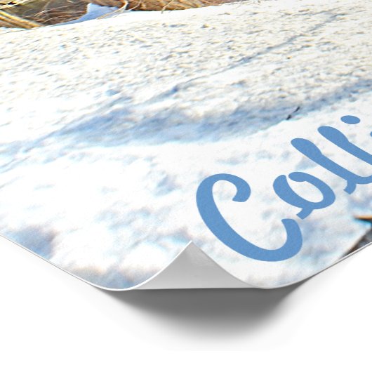 Collins Company Poster (Ecke)