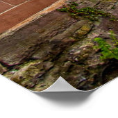 Colmar, Elsass, Frankreich landschaftliches Foto Poster (Ecke)