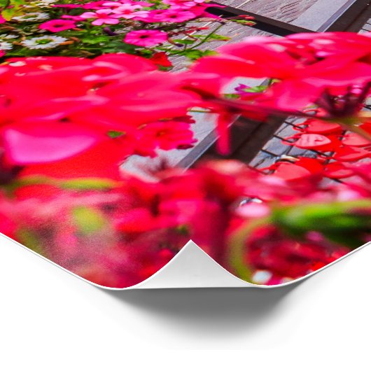 Colmar, Elsass. Frankreich. Poster (Ecke)