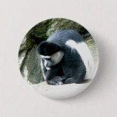 Colobus Button (Vorderseite)