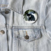 Colobus Button (Beispiel)