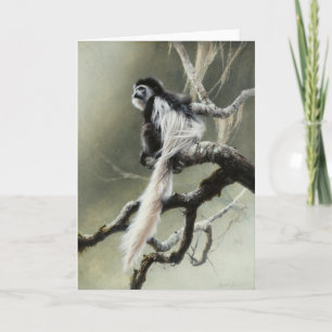 Colobus-leere Karte durch Andrew Denman