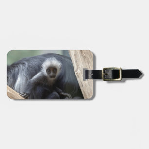 Colobus polykomos gepäckanhänger