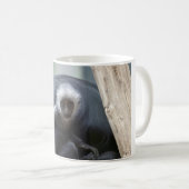 Colobus polykomos kaffeetasse (VorderseiteRechts)