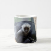 Colobus polykomos kaffeetasse (Mittel)