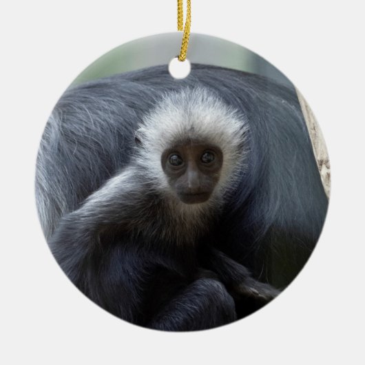 Colobus polykomos keramik ornament (Vorne)