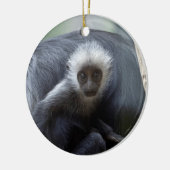 Colobus polykomos keramik ornament (Links)