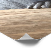 Colobus polykomos poster (Ecke)