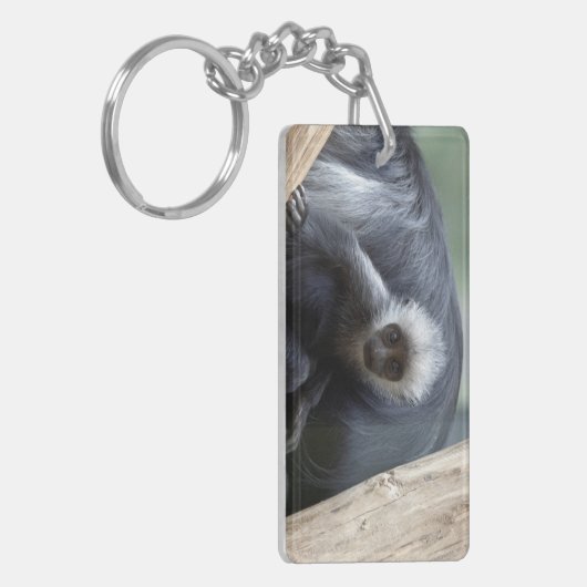 Colobus polykomos schlüsselanhänger (Vorderseite links)