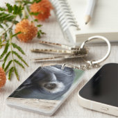 Colobus polykomos schlüsselanhänger (Vorderseite rechts)