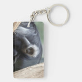Colobus polykomos schlüsselanhänger (Rückseite)