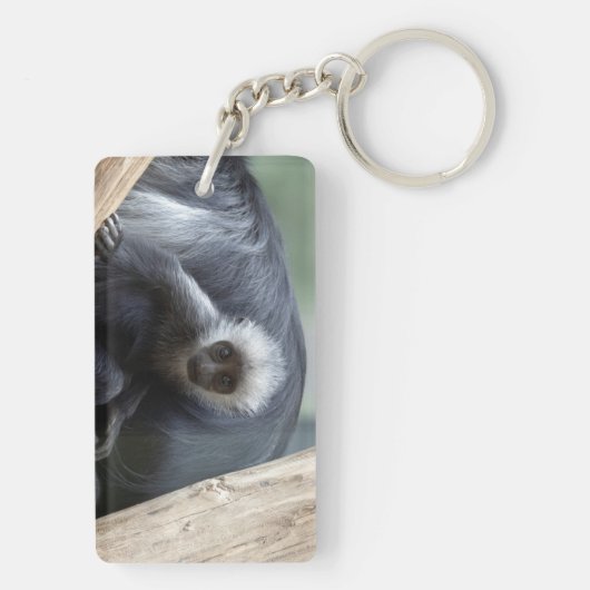Colobus polykomos schlüsselanhänger (Rückseite)