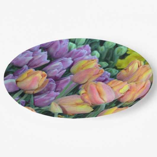 Coloful Bündel Tulpen Pappteller (Schrägansicht)