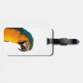 coloful Parrot Gepäckanhänger (Rückseite horizontal)