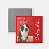 Cologalita Usamimi Magnets Magnet (Vorderseite/Rückseite)