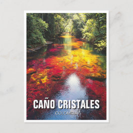 Colombia Cano Cristales Travel Postkarte
