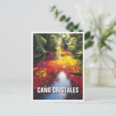 Colombia Cano Cristales Travel Postkarte (Stehend Vorderseite)