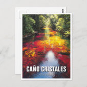 Colombia Cano Cristales Travel Postkarte (Vorne/Hinten)