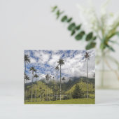 Colombia - El Bosque de Palmas, Postkarte (Stehend Vorderseite)