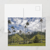 Colombia - El Bosque de Palmas, Postkarte (Vorne/Hinten)
