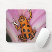 Colon Isle Dart Frog, Oophaga pumilio Mousepad (Mit Mouse)
