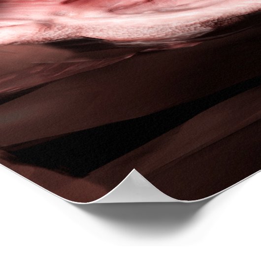 Colon-Krebs-Poster Poster (Ecke)