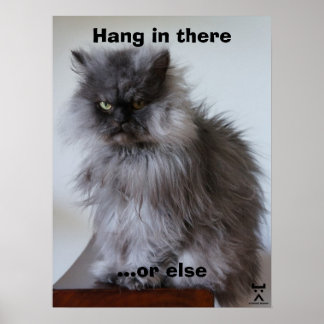 Colonel Meow hang dort hinein Poster