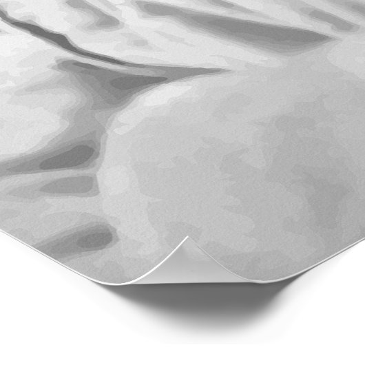 Colonel Roosevelt Poster (Ecke)