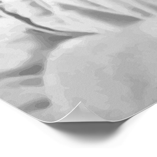 Colonel Roosevelt Poster (Ecke)