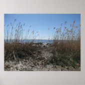 Colonial Beach 1 Poster (Vorne)