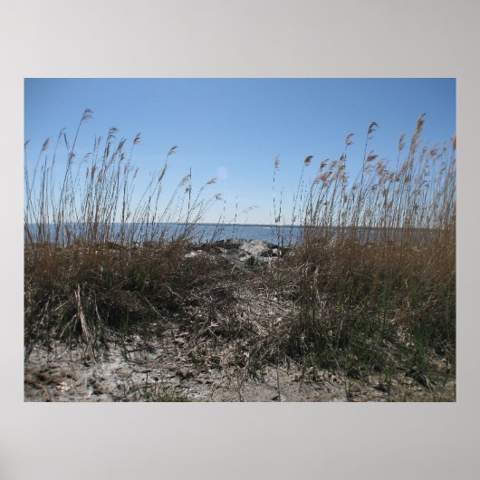 Colonial Beach 1 Poster (Vorne)