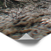 Colonial Beach 1 Poster (Ecke)