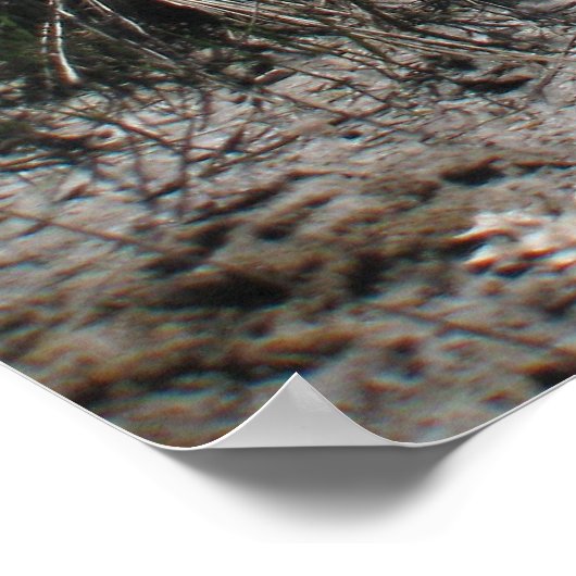 Colonial Beach 1 Poster (Ecke)