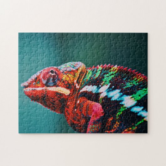 Color Changing Rainbow Chameleon Reptile Puzzle (Horizontal)
