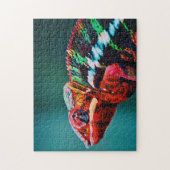 Color Changing Rainbow Chameleon Reptile Puzzle (Vertikal)